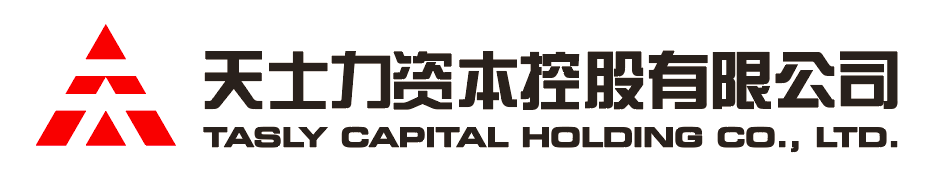 VSport体育资本控股有限公司